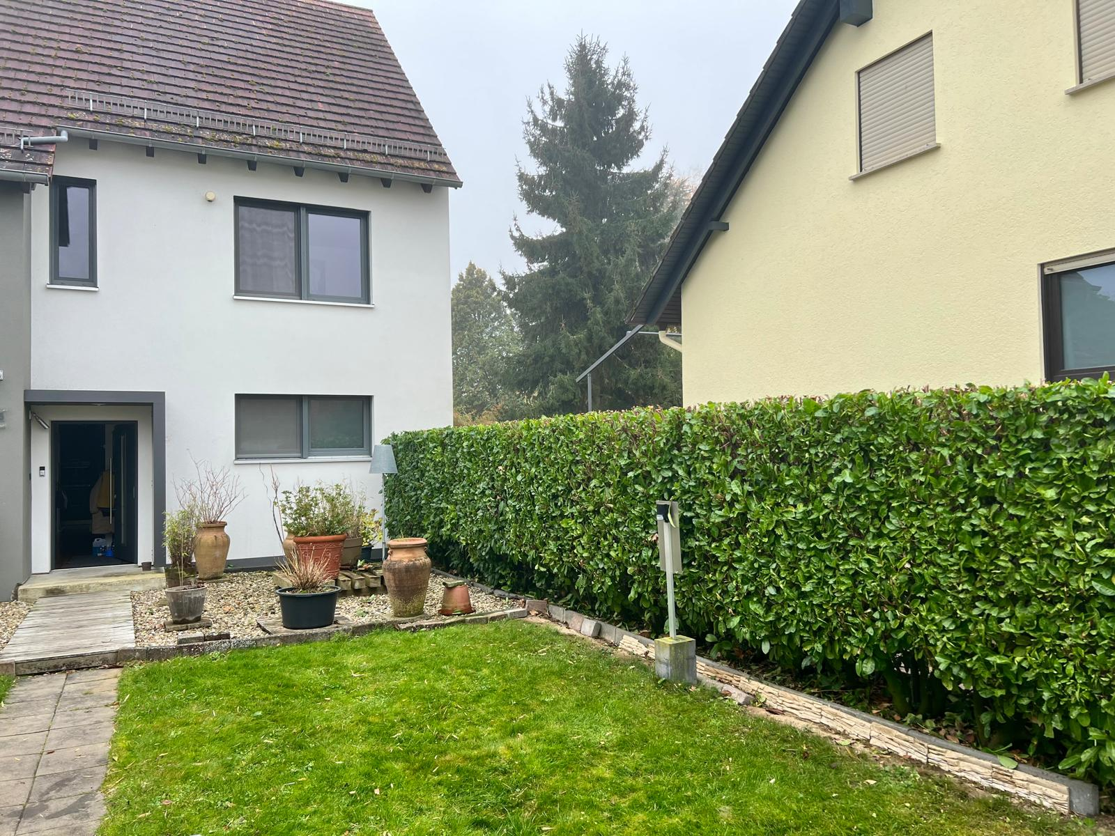 Sauber in Form gebrachte Kirschlorbeer-Hecke zwischen zwei Häusern.